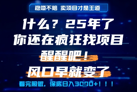 什么？25年你还在疯狂找项目做，醒醒吧，看完这些你全都懂了！【揭秘】-三石资源库