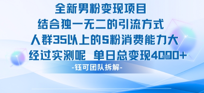 全新男粉变现项目引流人群35以上的男粉消费能力大 经过实测单日变现1k+-三石资源库