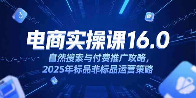 （15262期）淘宝电商运营课16.0，自然搜索与付费推广攻略，2025年标品非标品运营策略-三石资源库