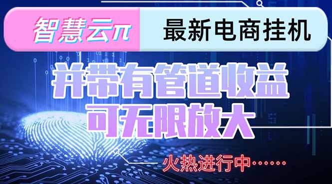 （15314期）智慧云π电脑挂机单机每天收益300—500+ 并带有团队管道收益 可无限放大-三石资源库