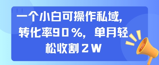 一个小白可操作私域，转化率90%，单月轻松收割2W-三石资源库