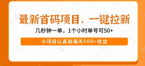 最新首码项目，操作最简单，收益高，一键拉新，1个小时单号可50+，小项目认真做每天5张+收益【揭秘】-三石资源库