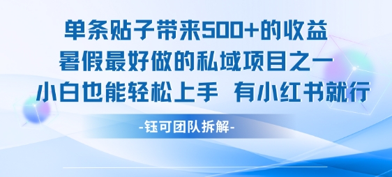 单条贴子带来5张的收益,暑假最好做的私域项目之一,小白也能轻松上手,有小红书就行-三石资源库