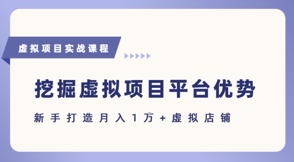 抓住虚拟项目各平台优势，新手轻松月入1W+(给出具体建议)-三石资源库