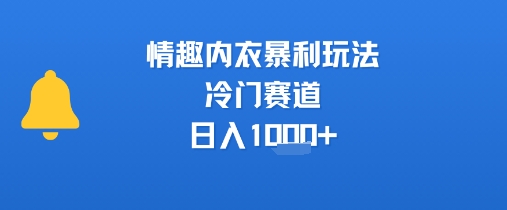 情趣内衣暴利玩法，冷门赛道，日入1k+-三石资源库