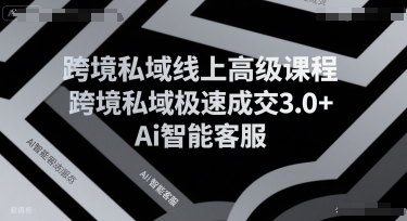 跨境私域线上高级课程，跨境私域极速成交3.0+Ai智能客服-三石资源库