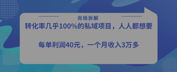 转化率最高的私域项目，每单利润40-50米，月入过1w-三石资源库