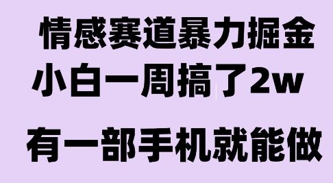 情感暴力掘金项目，新人操作一周挣了2W，长期稳定小白可做【揭秘】-三石资源库