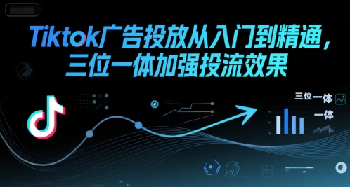 Tiktok广告投放从入门到精通，三位一体加强投流效果-三石资源库