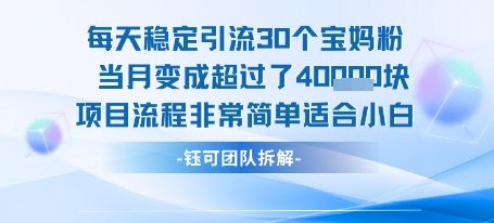 每天稳定引流30个人 当月变成超过了4个W项目流程非常简单适合小白-三石资源库