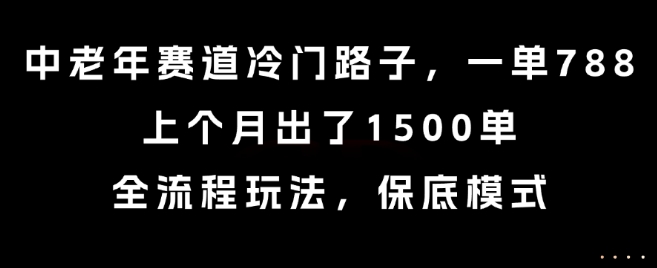 中老年赛道冷门路子，一单788，上个月出了1500单，全流程玩法，保底模式【揭秘】-三石资源库