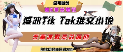 海外tiktok小说推文暴力项目，高停留率，高转化率，上手后一天搞顿饭钱不是问题-三石资源库
