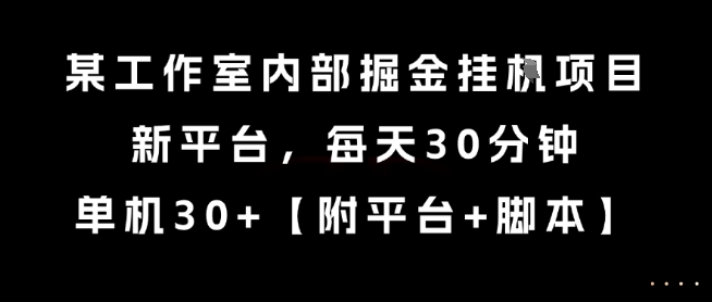 某工作室内部掘金挂G项目，新平台，每天30分钟，单机30+【揭秘】-三石资源库