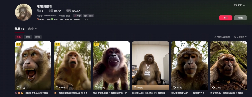 图片[2]-最新爆火的峨眉山猴子短视频制作教程，条条点赞10w+，谁做谁火【教程+提示词】-三石资源库