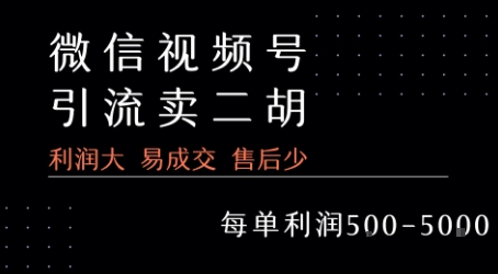 视频号卖二胡教程，利润大 易成交 售后少，一单利润5张+-三石资源库