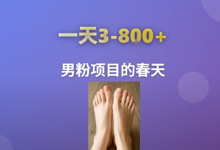 AI一键生成美女素材，一天收益3-8张，男粉项目的春天-三石资源库