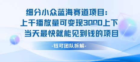 小众蓝海赛道项目：当天变现1k+适合新手操作 +适合长期玩-三石资源库