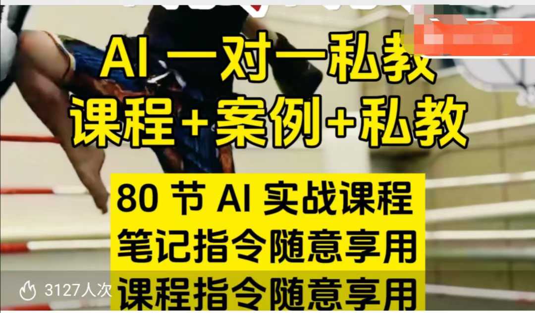 AI指令实战课，课程+案例，80节AI实战课程，笔记指令随意享用，课程指令随意享用（更新7月）-三石资源库