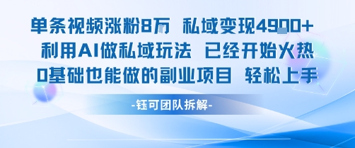 单条视频私域变现4.9k+利用AI做私域玩法 已经开始火热0基础也能做的副业项目轻松上手-三石资源库