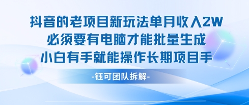 老项目新玩法单月收入2W小白有手就能操作长期项目-三石资源库