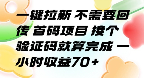 一键拉新 不需要回传 首码项目 接个验证码就算完成 一小时收益70+【揭秘】-三石资源库