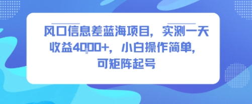 风口信息差蓝海项目，实测一天收益4k+，小白操作简单，可矩阵起号-三石资源库