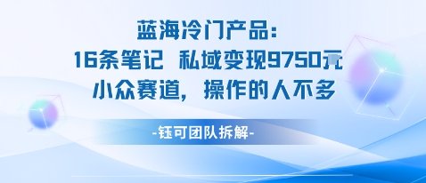 蓝海项目：16条笔记私域变现9750米小众赛道操作的人不多-三石资源库