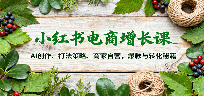 小红书电商增长课:AI创作、打法策略、商家自营,爆款与转化秘籍-三石资源库