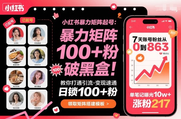 小红书暴力矩阵起号,教你打通引流-变现速通,日锁100+粉,破流量黑盒-三石资源库