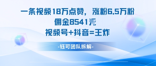 一条视频18W点赞，涨粉6.5W粉佣金8541米，视频号+抖音=王炸-三石资源库