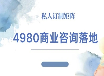 4980商业咨询师落地课程-ip运营高客单教程-三石资源库