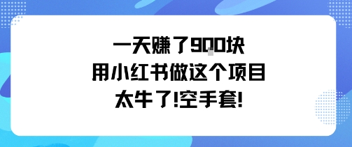 一天挣了9张用小红书做这个项目太牛了，空手套-三石资源库
