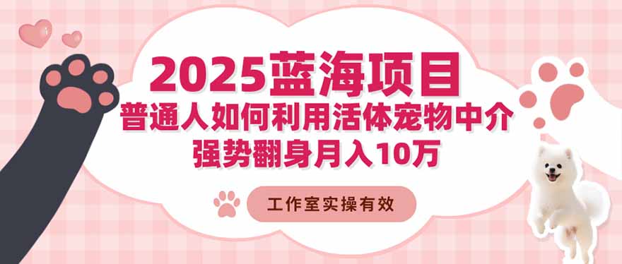 （16489期）2025蓝海项目：普通人如何利用活体宠物中介，强势翻身月入10万-三石资源库