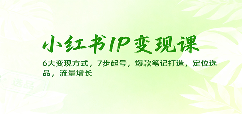 小红书IP变现课:6大变现方式,7步起号,爆款笔记打造,定位选品,流量增长-三石资源库