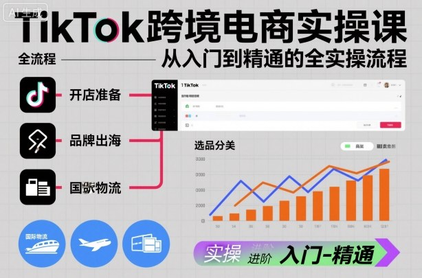 TikTok跨境电商实操课，从入门到精通的全实操流程-三石资源库